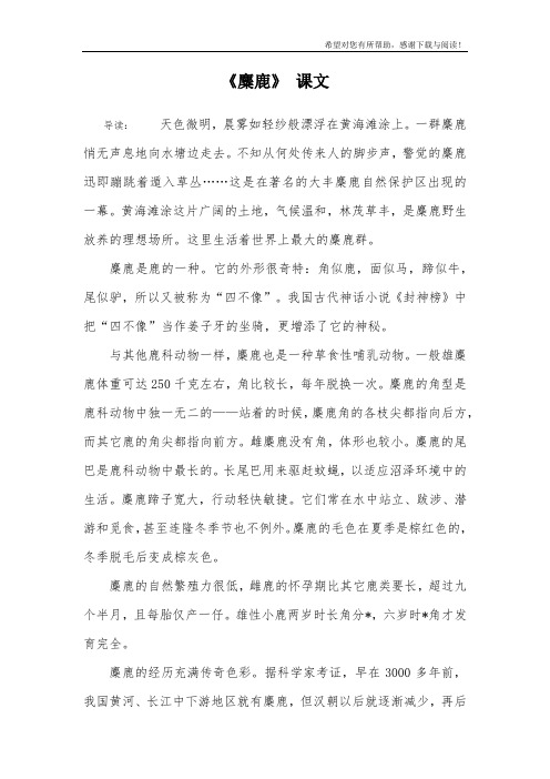 《麋鹿》 课文