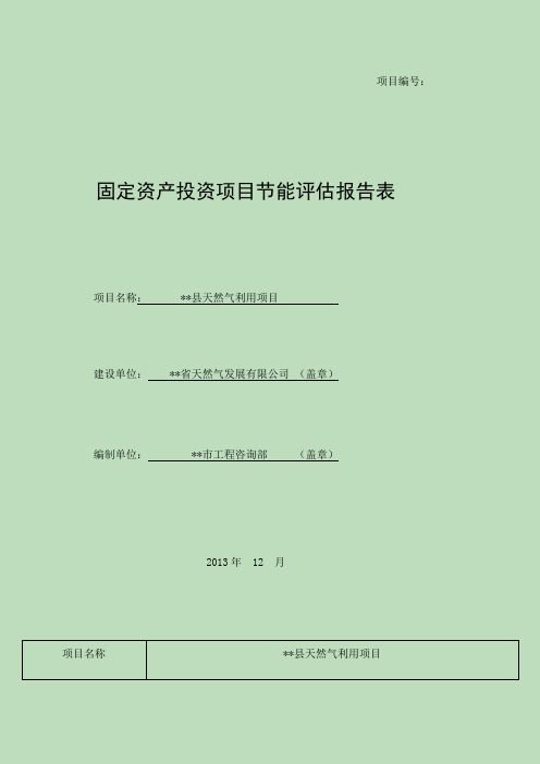 天然气利用项目节能评估报告