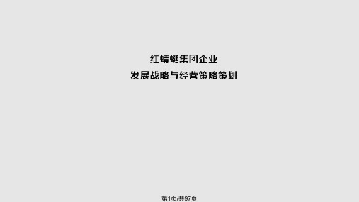 红蜻蜓发展战略正式稿PPT课件