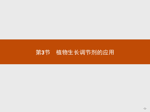 植物生长调节剂的应用课件【新教材】人教版高中生物选择性必修一1