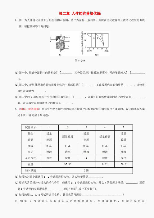 【点拨中考】2017版中考生物 考点梳理 第四单元 第二章 人体的营养培优练 新人教版