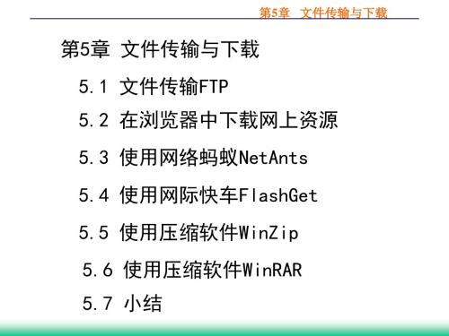 Internet实用技术-5文件传输和下载