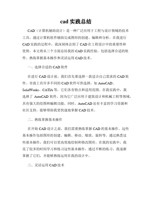 cad实践总结