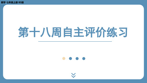 第十八周+自主评价练习(第1、3、5、6章)课件+2024-2025学年北师大版七年级数学上册