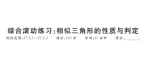 人教版九年级下册数学作业课件 第27章 综合滚动练习：相似三角形的性质与判定