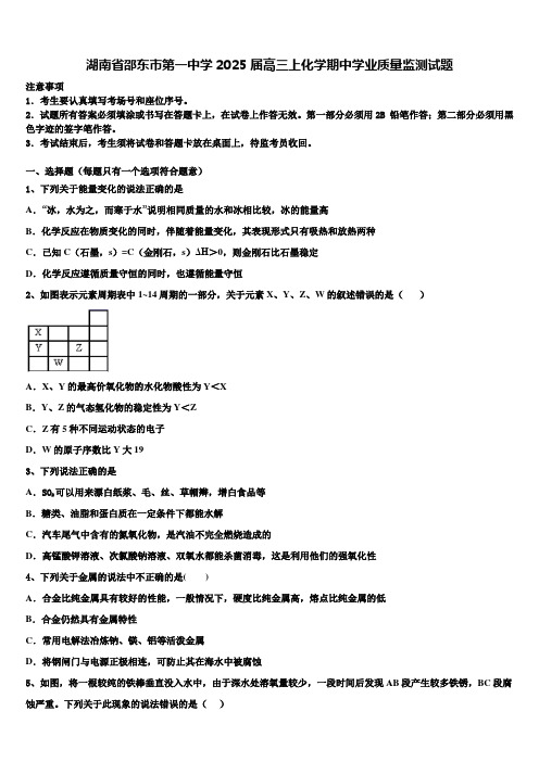 湖南省邵东市第一中学2025届高三上化学期中学业质量监测试题含解析