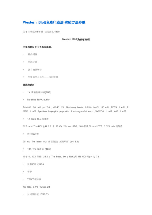 (完整版)WesternBlot(免疫印迹法)实验方法步骤