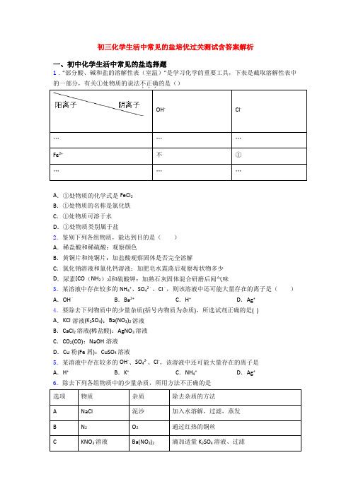 初三化学生活中常见的盐培优过关测试含答案解析