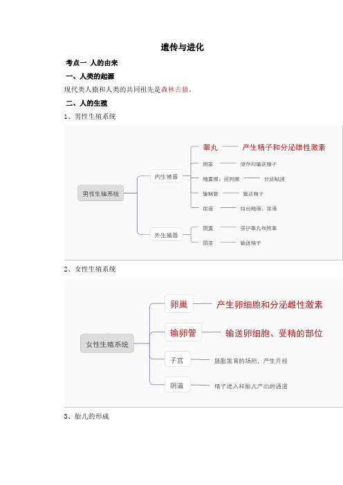 遗传与进化-【赢战中考 核心背记】备战2023年中考生物重点内容核心背记