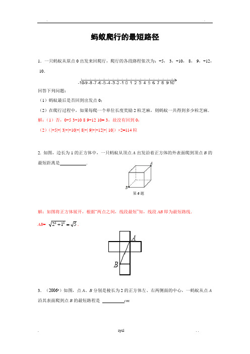 专题训练蚂蚁爬行的最短路径(含答案)