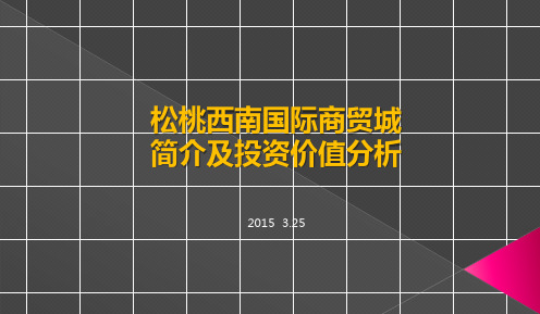 西南国际商贸城简介及投资分析修改