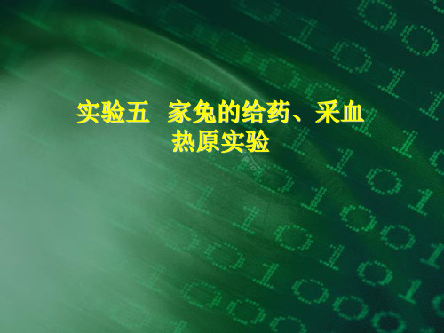 10   家兔的给药、采血及热原实验