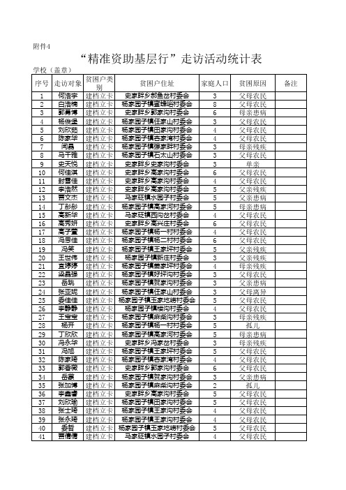 精准资助基层行走访统计表 (2)