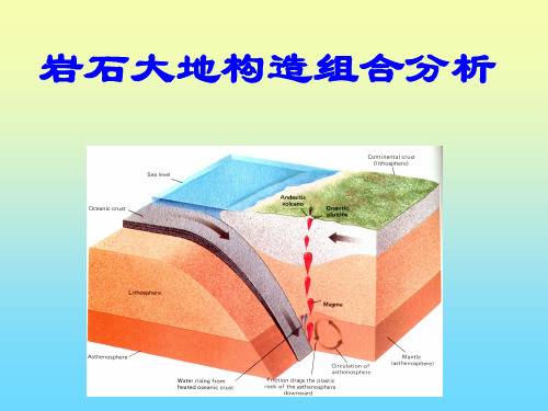 岩石大地构造组合分析