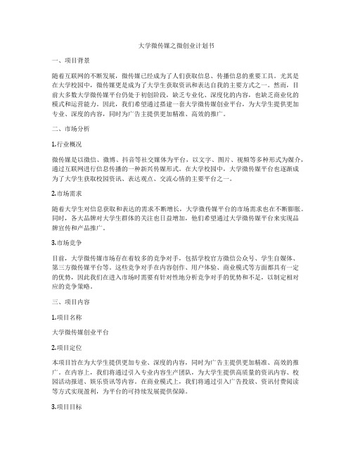 大学微传媒之微创业计划书