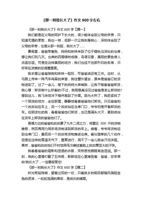 《那一刻我长大了》作文600字左右