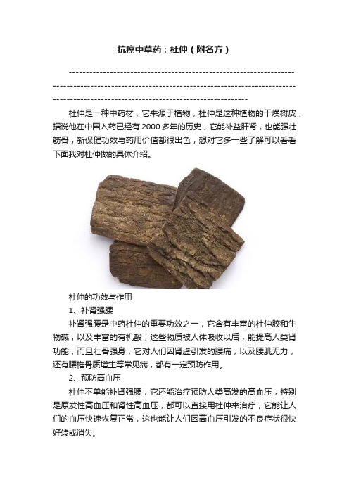 抗癌中草药：杜仲（附名方）