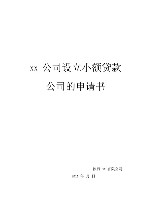 XX公司设立小额贷款公司申请书0001