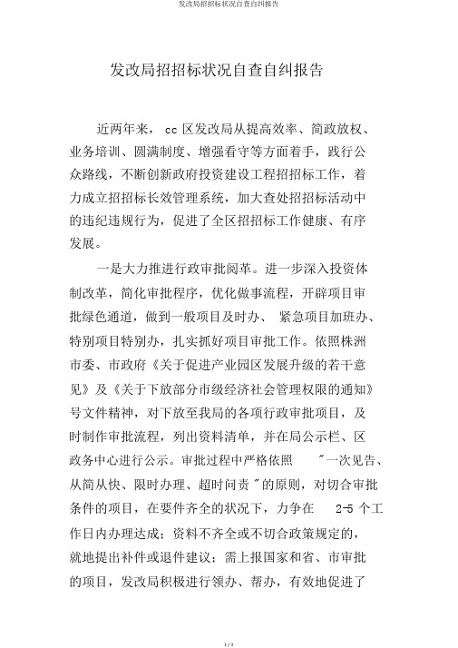 发改局招投标情况自查自纠报告