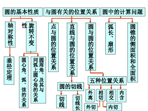 期中复习圆[下学期]--华师大版