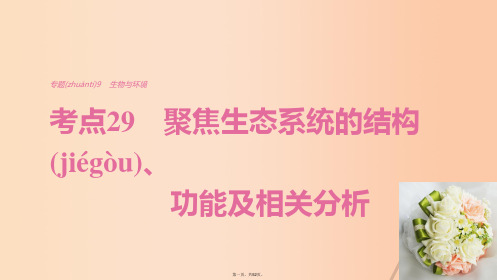 高考生物考前3个月专题复习专题9生物与环境考点29聚焦生态系统的结构、功能及相关分析课件