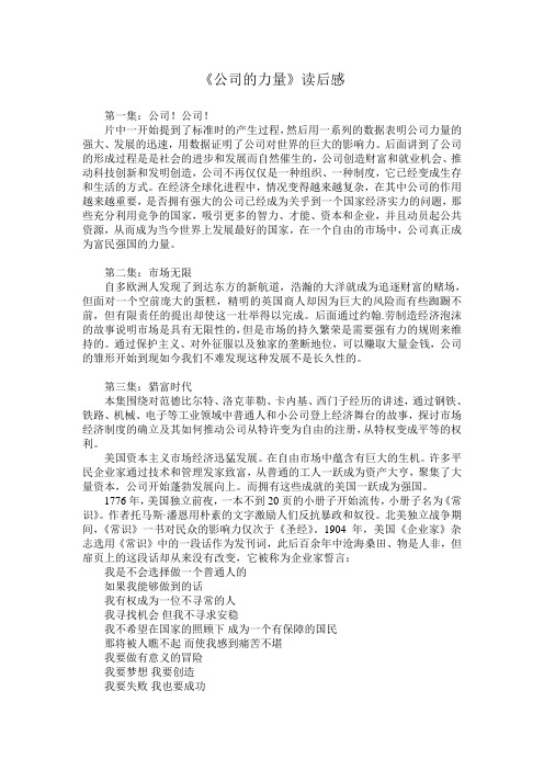 分集的公司的力量读后感