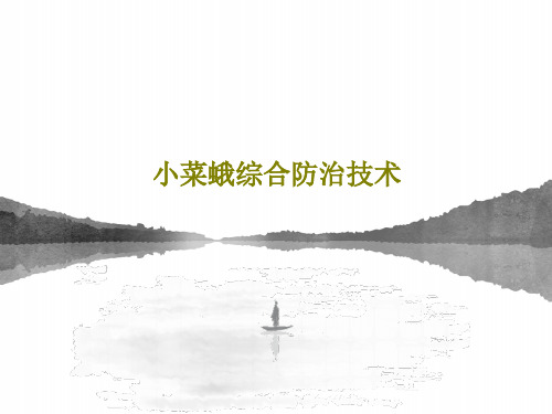 小菜蛾综合防治技术共31页