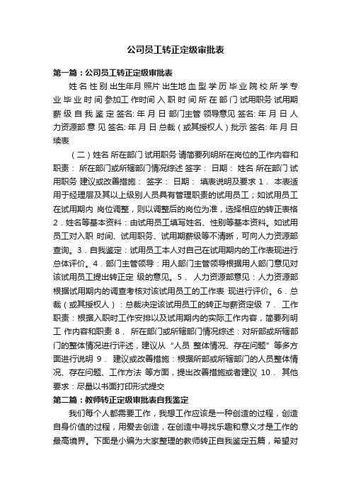 公司员工转正定级审批表