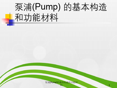 泵浦(Pump)基本构造与功能材料