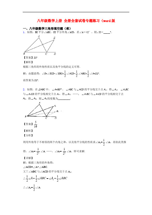 八年级数学上册 全册全套试卷专题练习(word版