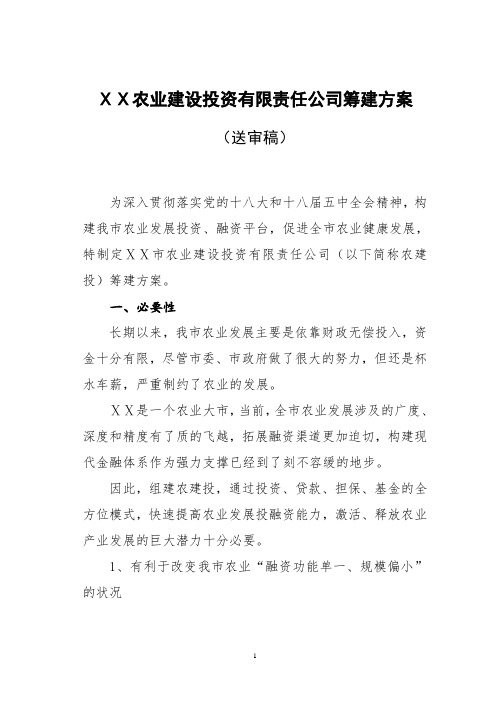 农业建设投资有限责任公司筹建方案