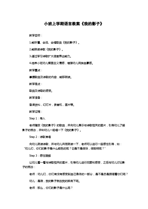 小班上学期语言教案《我的影子》