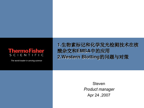 生物素标记和化学发光检测技术在核酸杂交和EMSA中的应用