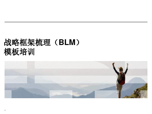 【标杆学习】IBM：BLM战略框架梳理