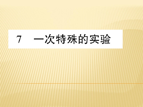 四年级上册语文课件 第7课 一次特殊的实验 西师大版 (共10张PPT)