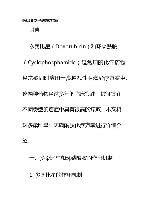 多柔比星与环磷酰胺化疗方案