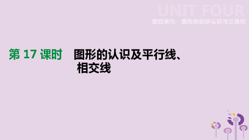 2019年中考数学总复习第四单元图形的初步认识与三角形第17课时图形的认识及平行线相交线课件湘教版2