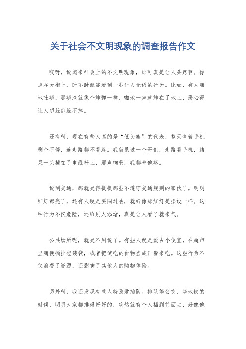 关于社会不文明现象的调查报告作文