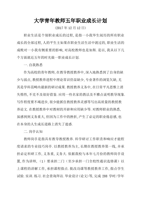 大学青年教师五年职业发展规划