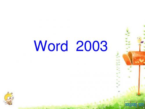 WORD2003