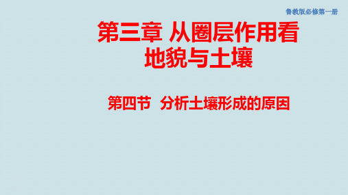 高中地理《分析土壤形成的原因》PPT课件
