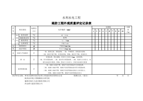 管道输水工程外观质量评定记录表 2