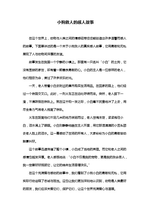 小狗救人的感人故事