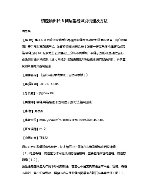 镇泾油田长8储层裂缝识别机理及方法