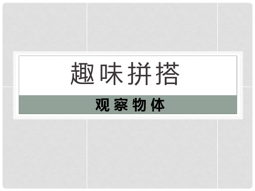 青岛版四年级下册数学 《趣味拼搭》PPT课件