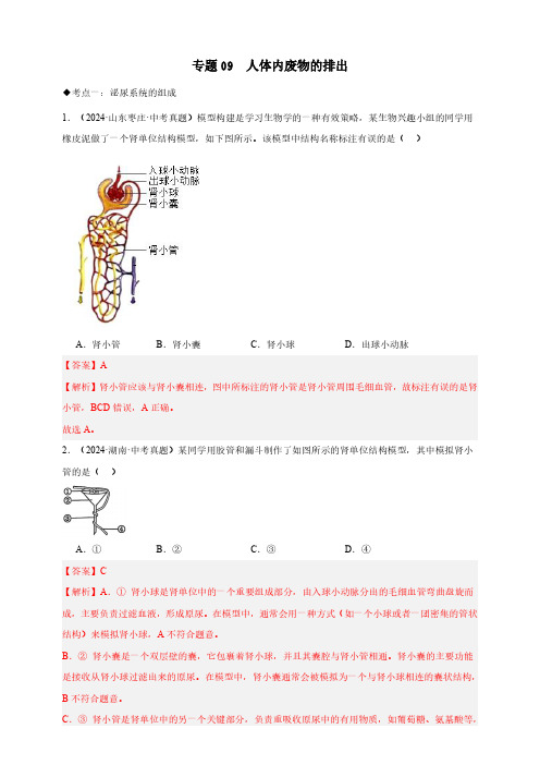 专题09  人体内废物的排出—2024生物中考真题分类汇编(解析版)