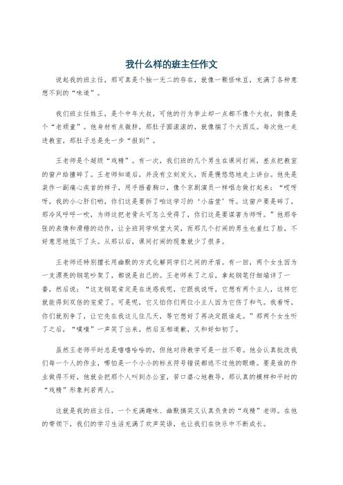 我什么样的班主任作文