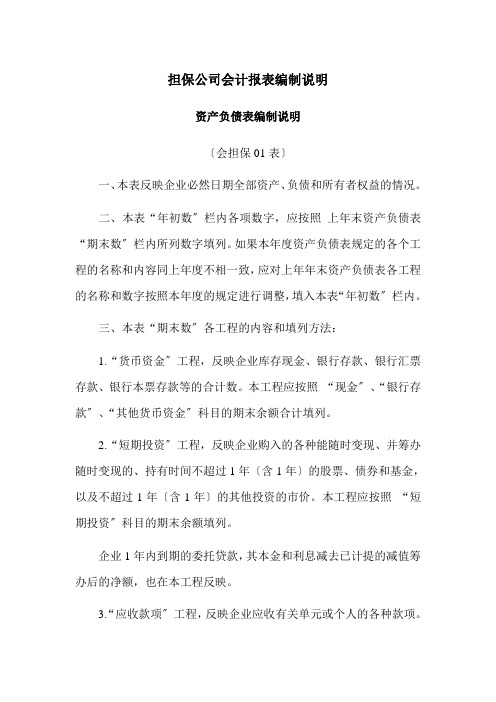 担保公司会计报表编制说明