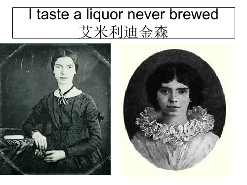 我品尝未酿之酒