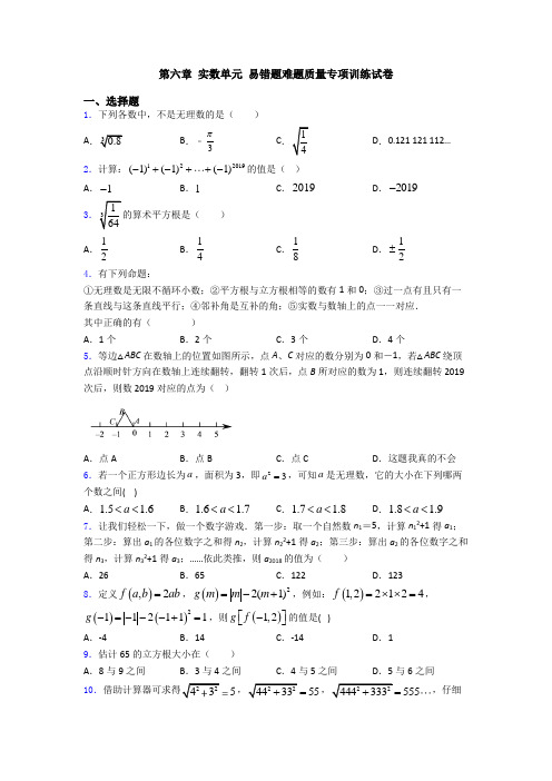 第六章 实数单元 易错题难题质量专项训练试卷